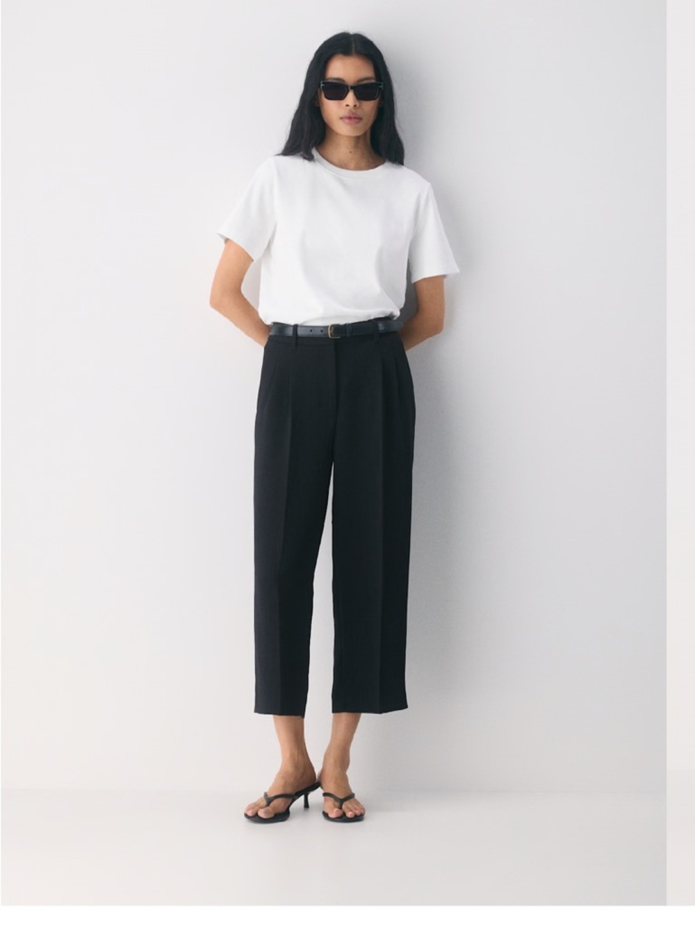 Aritzia Black High-Waist Cropped Pleat Trousers